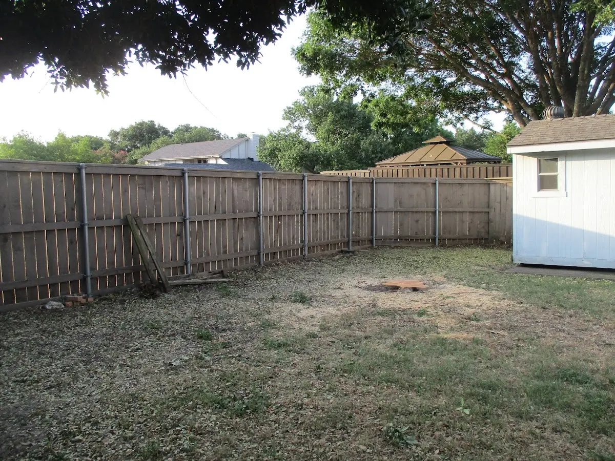Cleared yard after professional tree removal in Exira